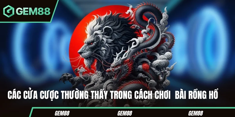 Các cửa cược trong cách chơi bài Rồng Hổ
