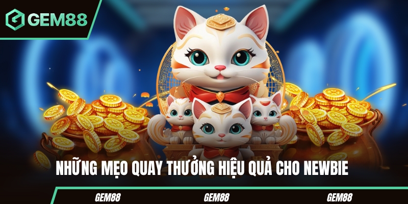 Slot Mèo Thần Tài - Cách Chơi, Paytable & Tính Năng Cần Biết Những lưu ý khi trải nghiệm slot mèo thần tài